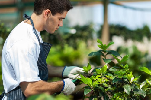 Technician assessing hedge and equipment before work