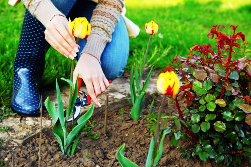 Person using a screen reader to access garden maintenance information on a tablet