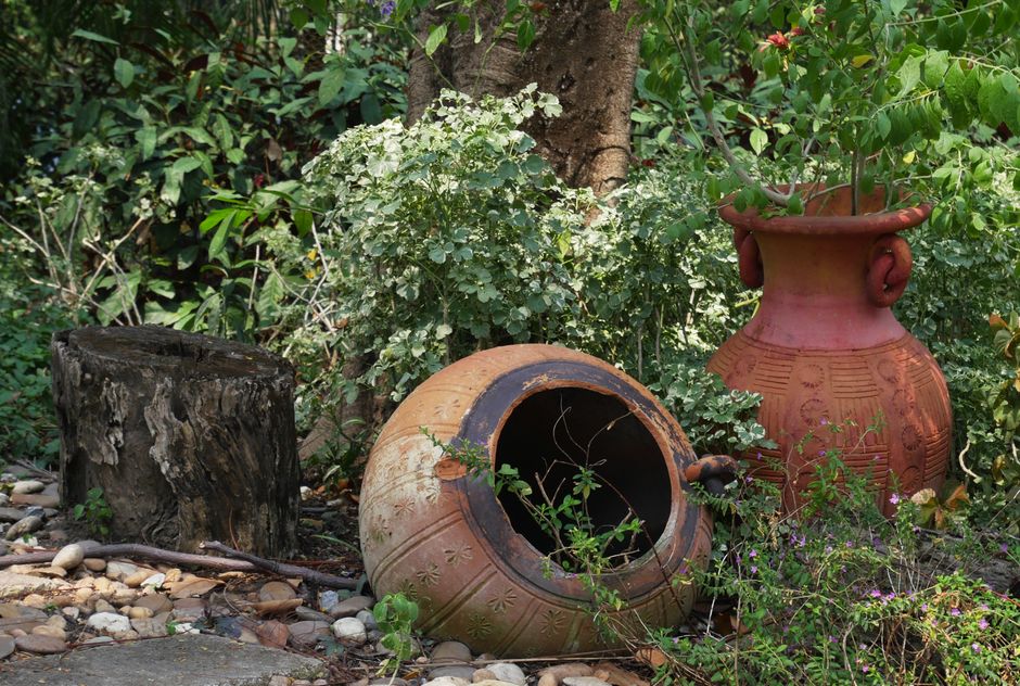 A garden scene featuring a variety of elements including a large terracotta urn lying on its side with its black interior visible, surrounded by green foliage and small flowering plants. To the right,
