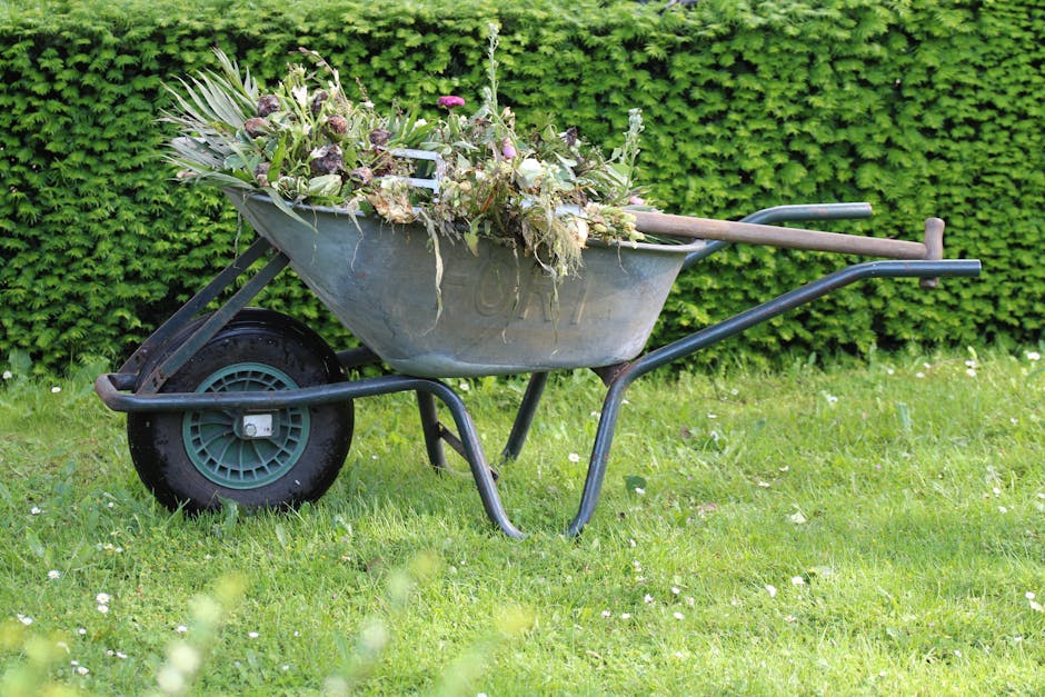 A garden scene featuring a variety of elements including a large terracotta urn lying on its side with its black interior visible, surrounded by green foliage and small flowering plants. To the right,